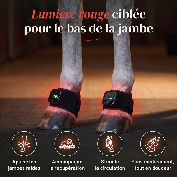 LumiJambes, image 2